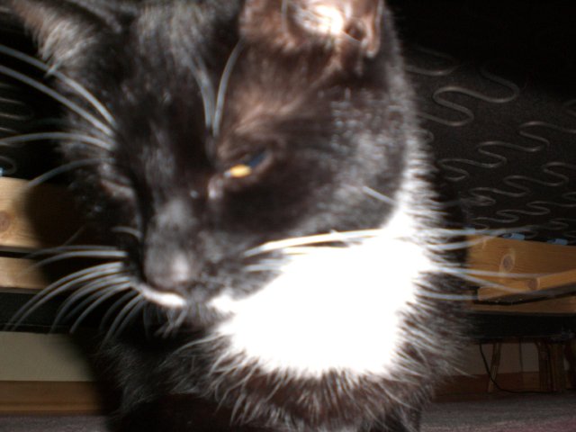 CIMG0368