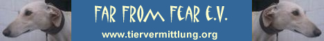 banner_fff2_ev_neu