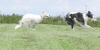 010810Auslauf_048a