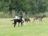 120910Auslauf_037
