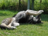 180710_Auslauf079