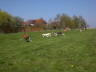 250410Auslauf_017