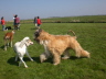 250410Auslauf_020