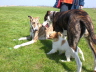 250410Auslauf_070
